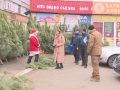 Перевірку ялинкових базарів провели екологи, поліція та муніципальна служба правопорядку