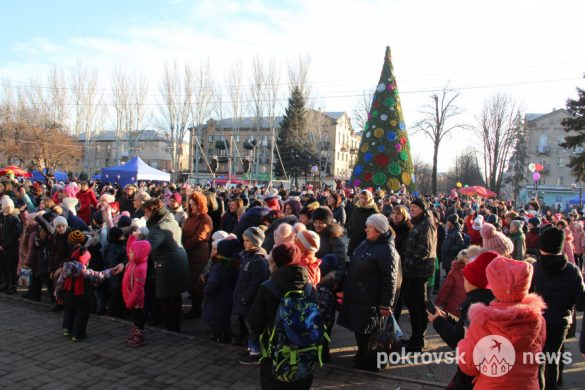 В Покровске зажглась главная новогодняя елка