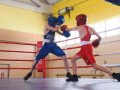 Відкрита першість з боксу урочисто стартувала в Покровську