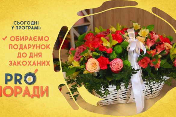 Pro Поради 10.02.2019