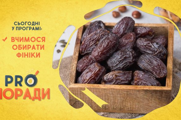 Pro Поради 24.02.2020