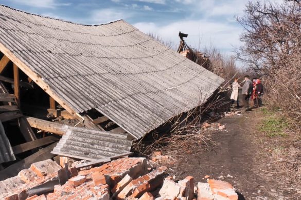 Небезпечний шлях до міста, або Як овочева база загрожує жителям Мирнограда