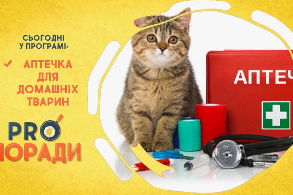 Pro поради 27.04.2020