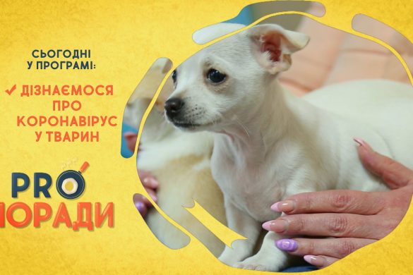 Pro поради 30.03.2020