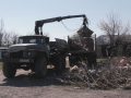 Стихійні звалища ліквідують комунальники Мирнограда