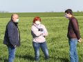 Урожай-2020 - м’яка зима та посушлива весна погіршила стан озимих культур