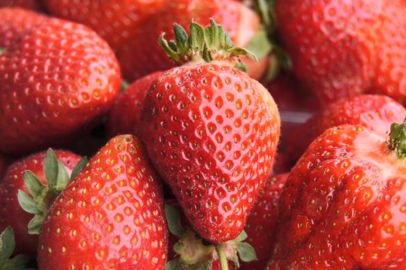 Насолода чи небезпека? Прилавки ринків Покровська заполонила полуниця