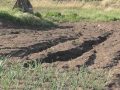 Від проливних дощів постраждали мешканці села Ганнівка