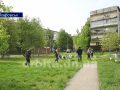 Відповідальне ставлення до сезонної роботи: ФОП «Машир» активно займається покосом трави