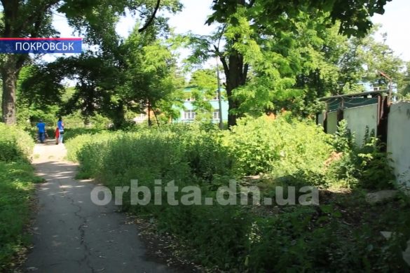 500 протоколів за нехтування благоустроєм. Муніципальна служба проводить рейди містом