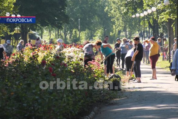 Суботники та видалення фаутних дерев. У Покровську тривають роботи з благоустрою