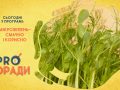 pro-poradi_20_07_2020_01