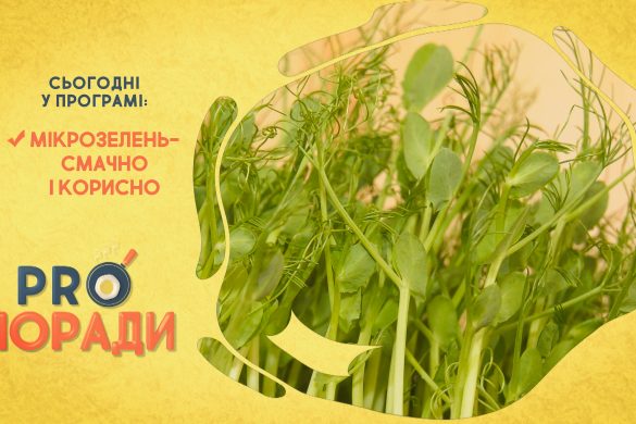 pro-poradi_20_07_2020_01