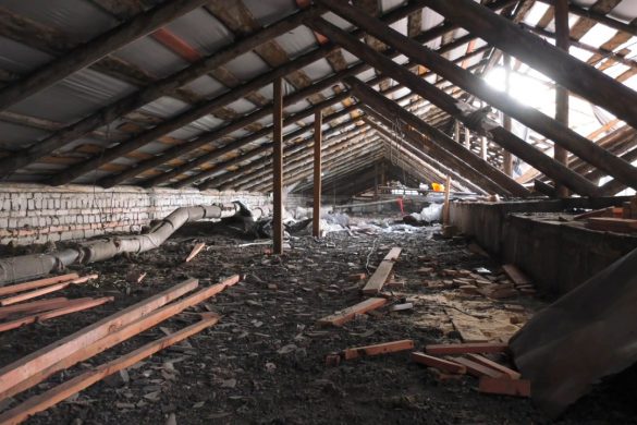 shk-mpg_snapshot_00-55-243