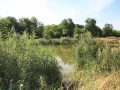 Чергова смерть на водоймі. У ставку на території парку «Ювілейний» виявлено труп чоловіка