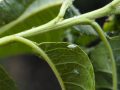 pro-poradi_07_09_2020_03