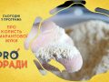 pro-poradi_14_09_2020_01
