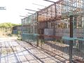 Куди переїхали ведмеді з приватного зоопарку Покровська і чи повернуться назад?