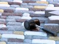 Дізнаємось про нюанси укладання тротуарної плитки