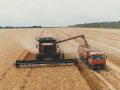 Агрофірма “Дружба”. До професійного свята - із гідними показниками
