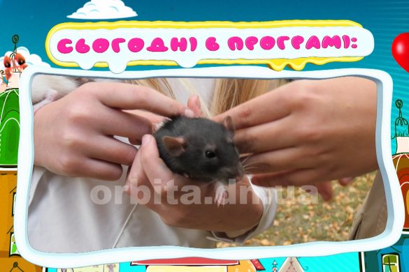 На висоті 30.10.2020