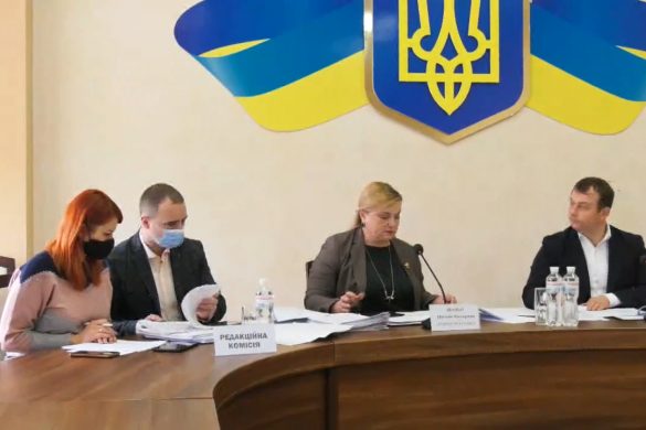 Сессия Покровского городского совета 24.11.2020