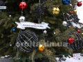 Сотні куль і кілометр гірлянд. У мікрорайоні «Лазурний» засяяла новорічна ялинка