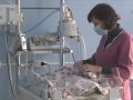 Народжувати - у сусідні міста. Пологове відділення у Добропіллі під загрозою закриття