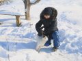 З турботою про птахів та тварин. Покровські скаути облаштували годівницю