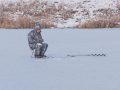 «Обережно! Крихкий лід», або як Муніципальна служба патрулює водойми