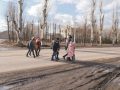 Увага, діти на дорозі! Багатодітна родина просить зробити безпечним шлях до школи