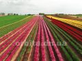Мандрівка країнами світу навесні