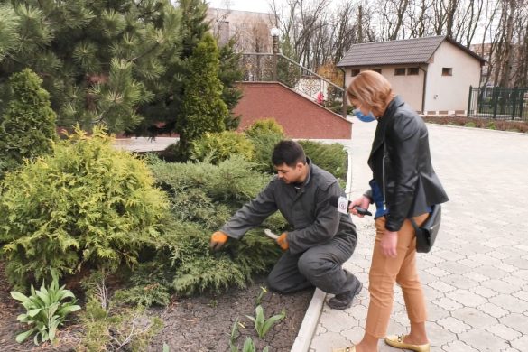 Парк «Ювілейний» поповнився новими насадженнями з клумб Свято-Михайлівського храму