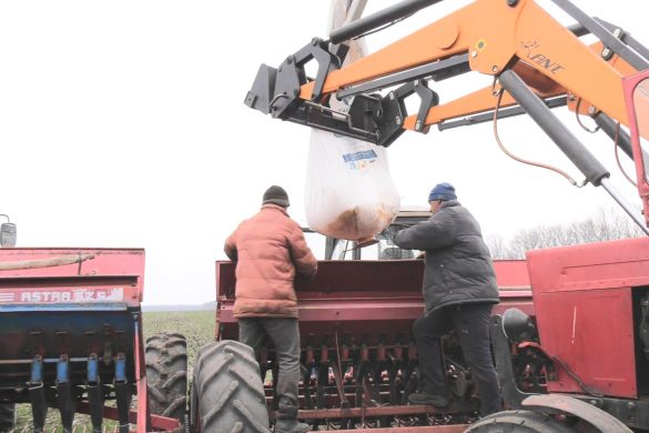 Аграрії підгодовують озимину, проте на гарний врожай не сподіваються