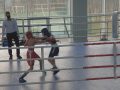 Знову чемпіон. Покровський боксер Відаді Зейнієв здобув квиток на Чемпіонат України