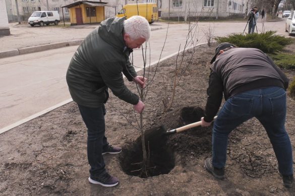 Сумахи, липи та ялівці. У Мирнограді висадкою дерев відзначили Всесвітній день озеленення