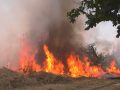 Сухих вам рукавів! Рятувальники вдруге за рік приймають вітання з професійним святом