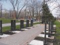 До роковин аварії на ЧАЕС у парку «Ювілейний» висаджено 35 кущів троянд