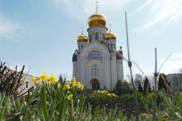 Вікові традиції. 25 квітня православна церква відзначатиме Вербну неділю
