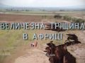 Знай більше цікавих фактів про величезну тріщину в Африці