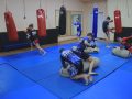 Нагороди та путівка на Чемпіонат світу. Рукопашники ФСК «Олімпійський» знову серед кращих