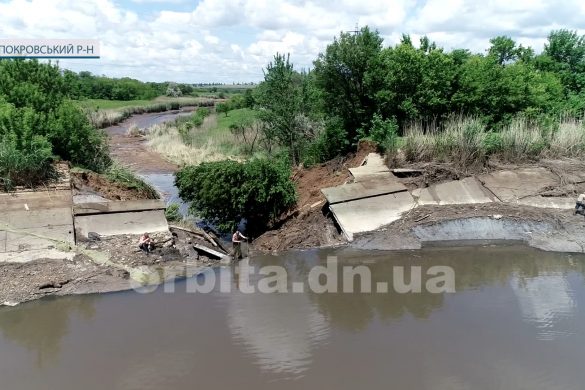 Риба на подвір’ях, залиті городи та затоплені підвали. Злива ледь не змила кілька сіл під Покровськом