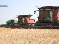 polya-c-mpg_snapshot_01-49-317