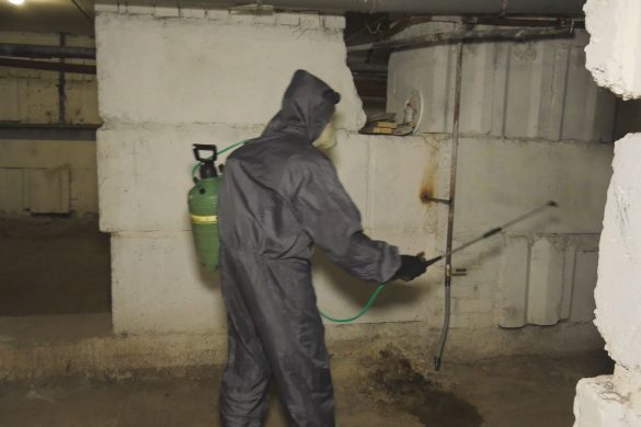 Комахам – бій! У Покровську дезінсектори обробляють підвали багатоповерхівок