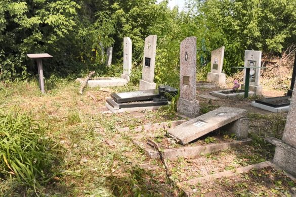 Поламані дерева та побиті надгробки. Стихія наробила біди на кладовищі Динзаводу