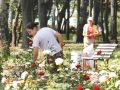 Програма «Трудове літо» у дії. Школярі допомагають наводити лад на зелених зонах міста