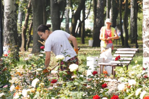 Програма «Трудове літо» у дії. Школярі допомагають наводити лад на зелених зонах міста