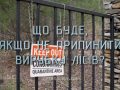 Знай більше цікавих фактів про вирубку лісів