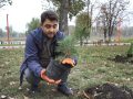 Мільярд дерев за три роки. ГО «Довкілля Покровська» долучилася до ініціативи Президента та висадила сосни