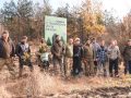 Створюємо ліси разом. Покровський лісгосп висадив 5 тисяч дубів
